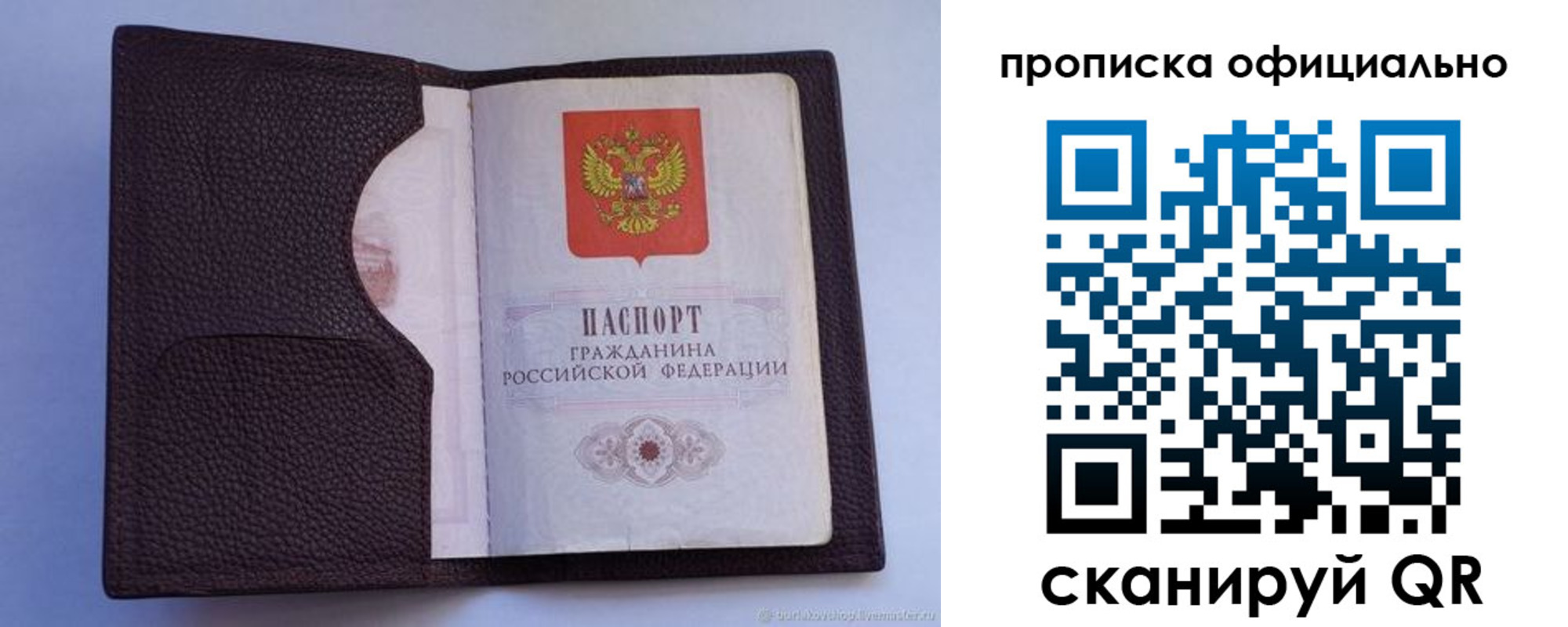 купить прописку в Полярных Зорях